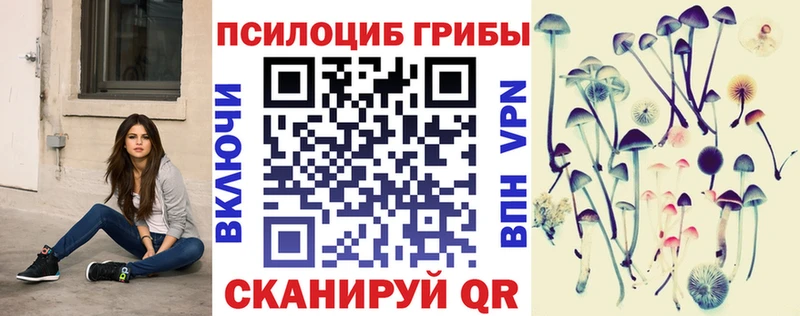 Купить закладки Чебаркуль Псилоцибиновые грибы Cubensis